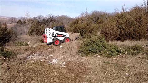 can a skid steer remove trees|bobcat skid steer attachment.